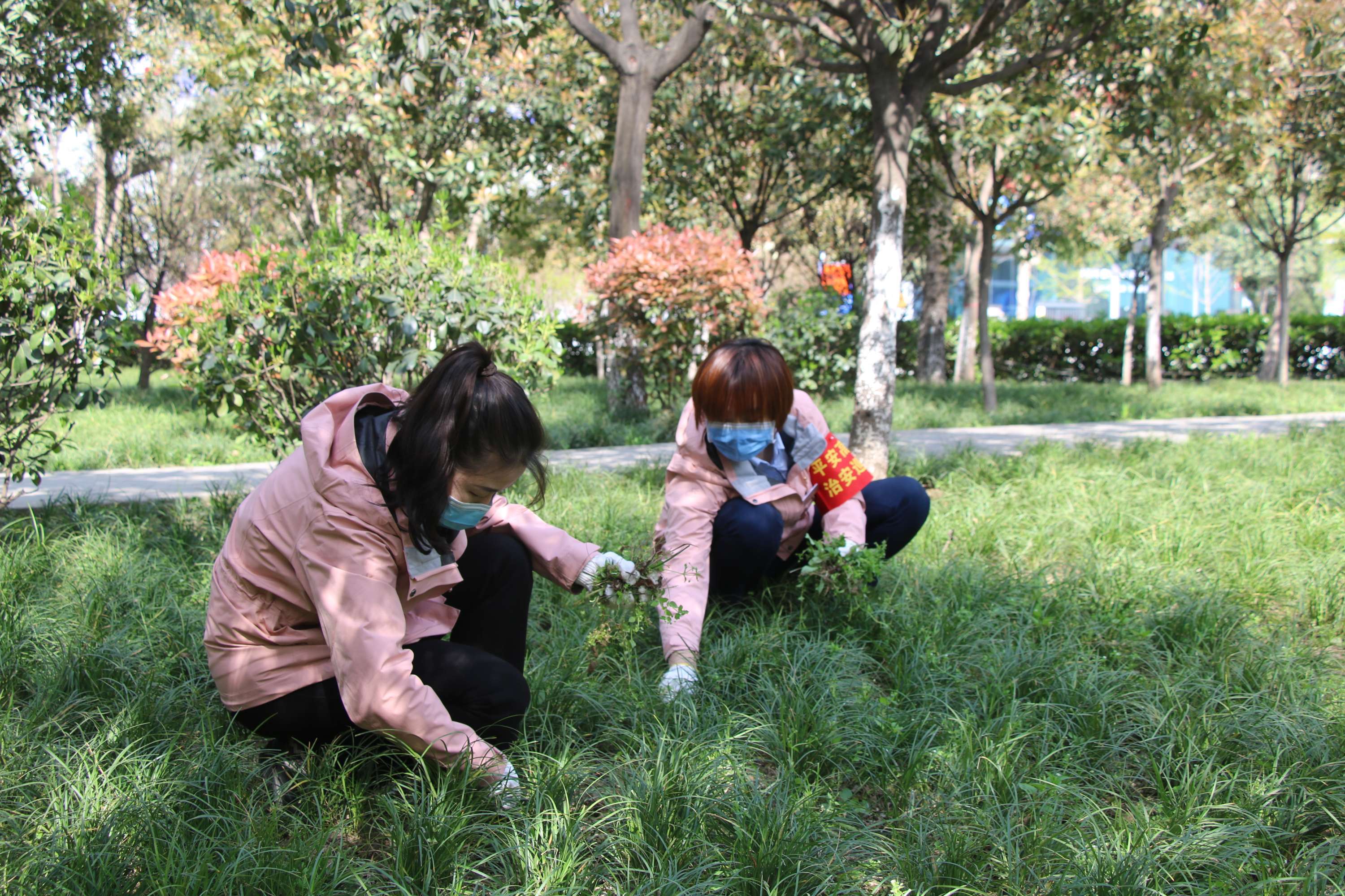 香港内部最准资料中