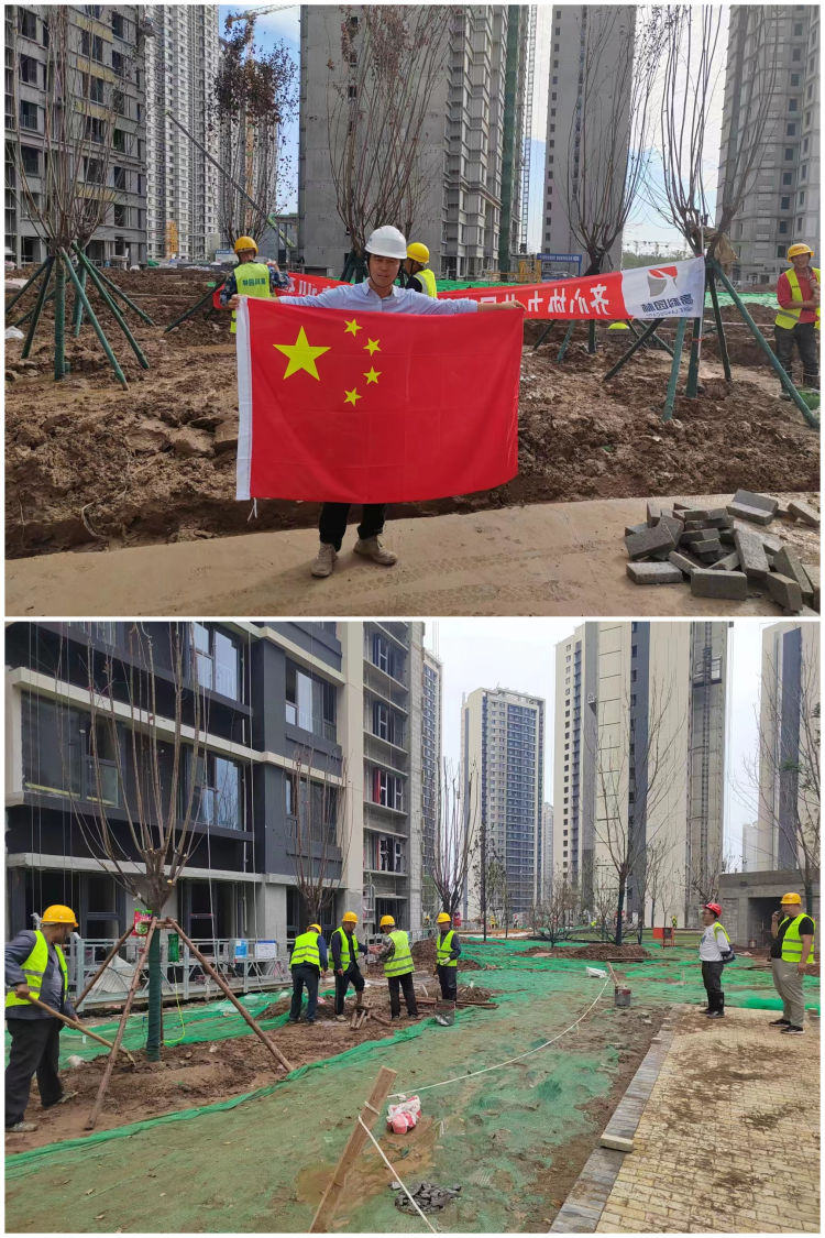 香港内部最准资料中